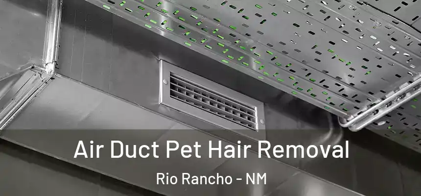 Air Duct Pet Hair Removal Rio Rancho - NM