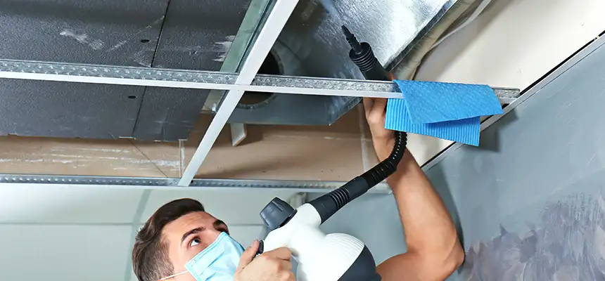 Our Air Duct Rodent Removal Services in Rio Rancho, NM