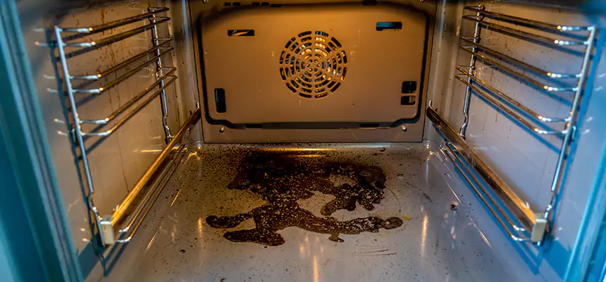 Our Dryer Vent Mold Cleaning Services in Rio Rancho, NM