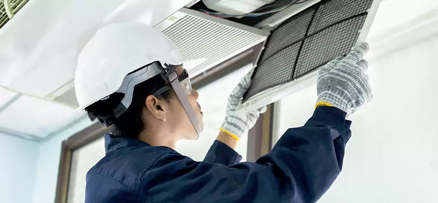 Our Mold & Mildew Removal from Air Ducts Services in Rio Rancho, NM