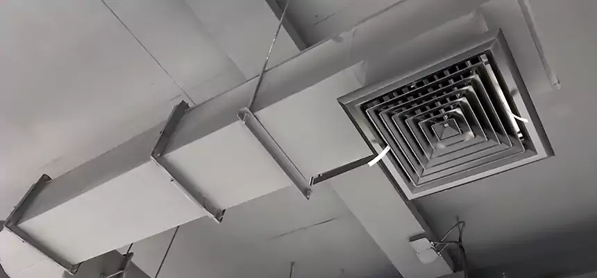 Our Pest Removal From Ducts Services in Rio Rancho, NM