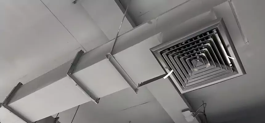 Our Rodent Droppings In Vents Services in Rio Rancho, NM