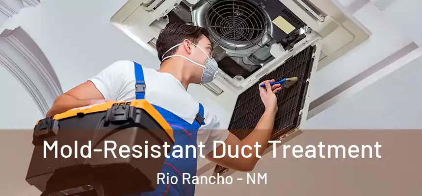 Mold-Resistant Duct Treatment Rio Rancho - NM