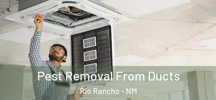  Pest Removal From Ducts Rio Rancho - NM