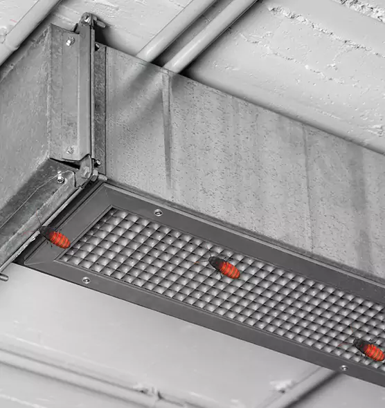 About Air Duct Cockroach Removal in Rio Rancho, NM