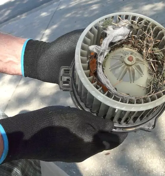 About Air Duct Rat Removal in Rio Rancho, NM