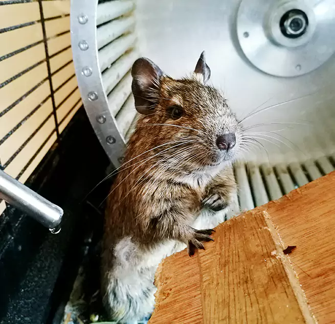 Why Homeowners & Businesses Trust Us Rio Rancho, NM