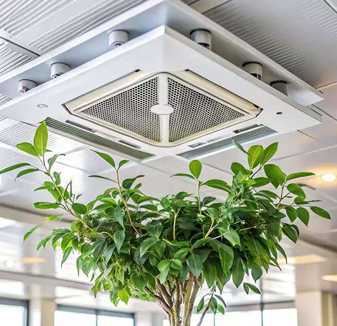 Why Homeowners & Businesses Trust Us in Rio Rancho, NM