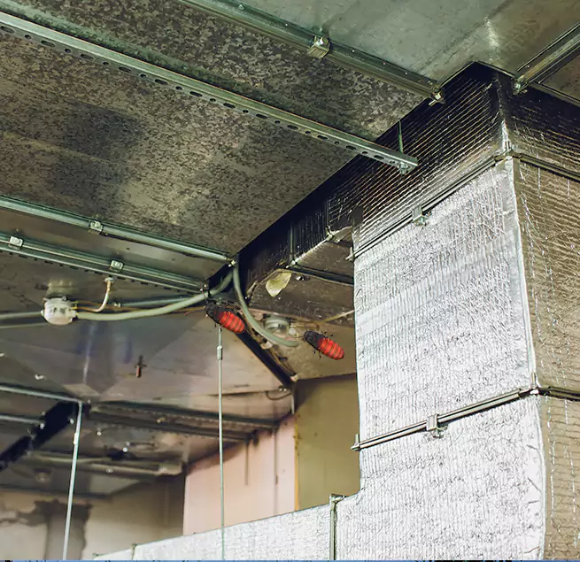 Why Homeowners & Businesses Trust Us Rio Rancho, NM?